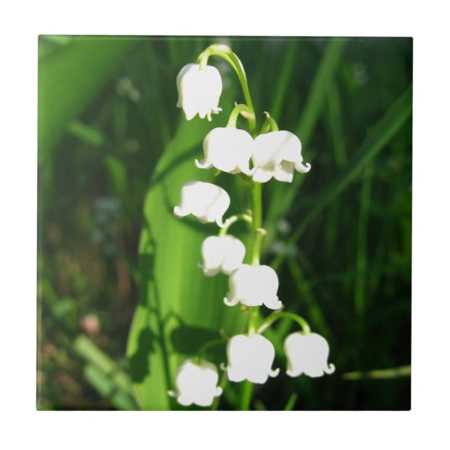 Lily Of The Valley Flowers Ceramic Tile (Front)
