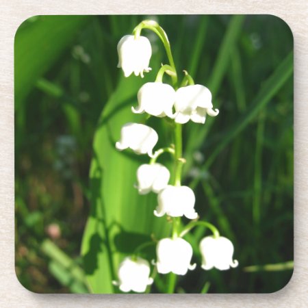 Lily Of The Valley Flowers Drink Coaster