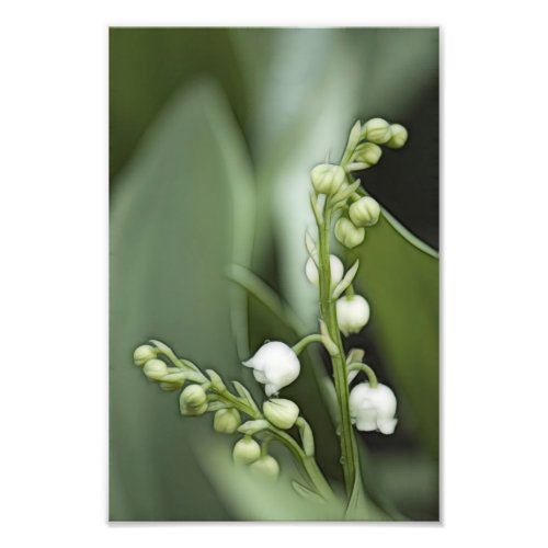 Lily of the Valley Flowers Photo Print
