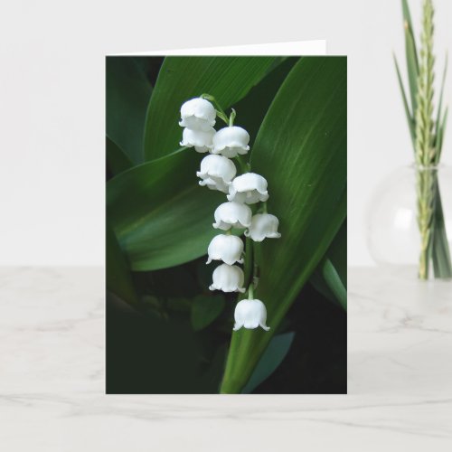 Lily of the Valley greeting card
