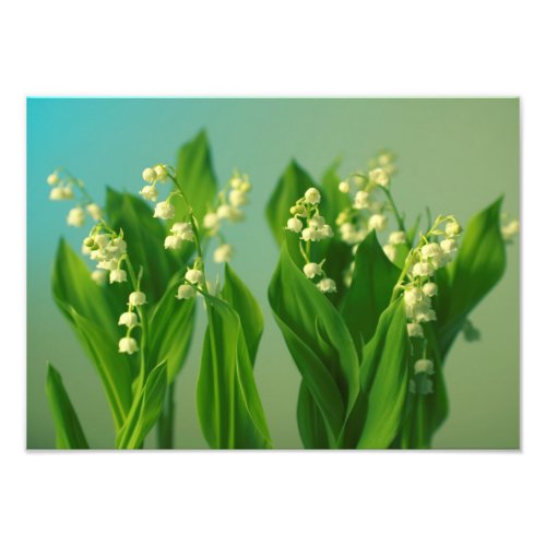 Lily of the Valley in Turquoise Photo Print