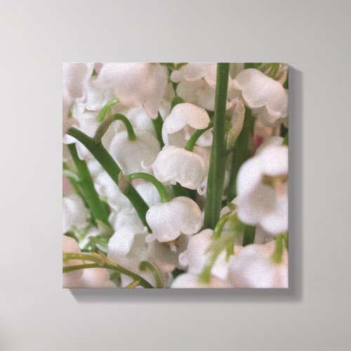 Lily of the Valley Macro Flowers Canvas Print