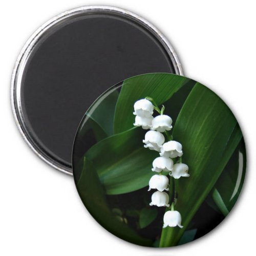 Lily of the Valley magnet