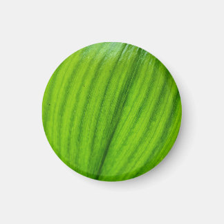 Lily of the Valley Magnet