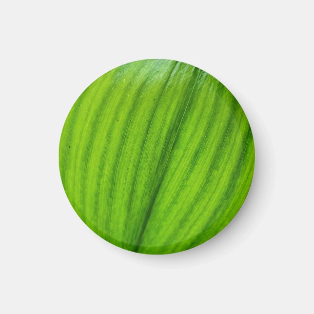 Lily of the Valley Magnet (Front)