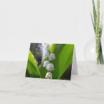 Lily-of-the-Valley Notecard