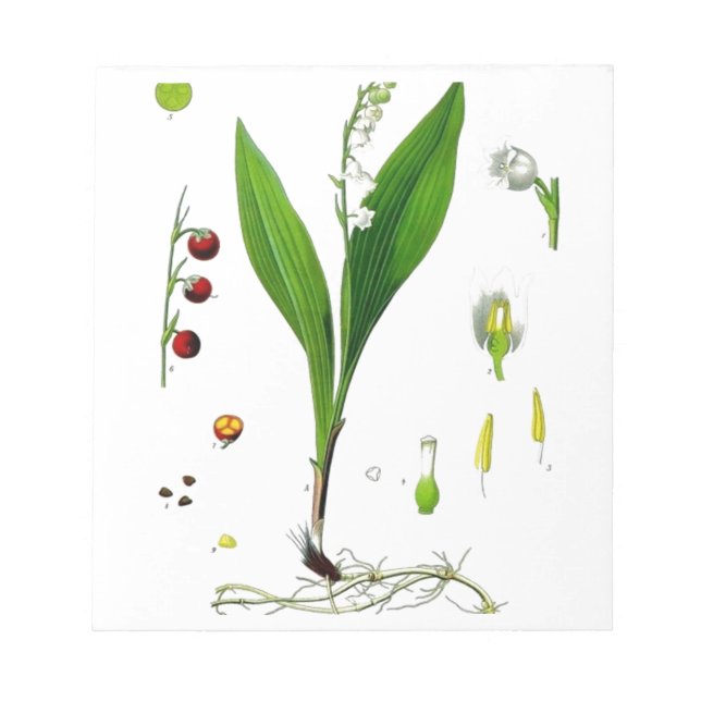 Lily of the Valley Notepad (Front)