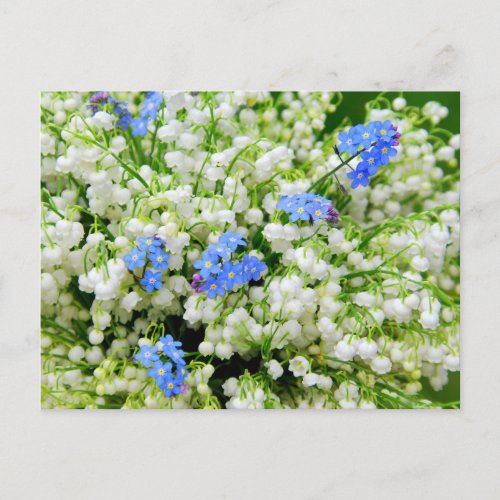 Lily of the valley postcard