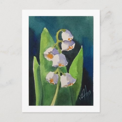 Lily of the Valley Postcard