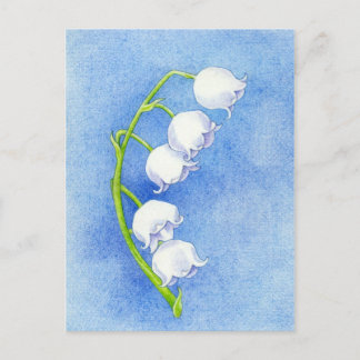 Lily of the Valley Postcard