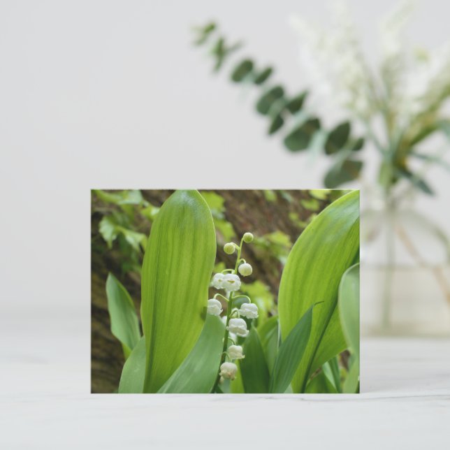 Lily of the Valley Postcard (Standing Front)