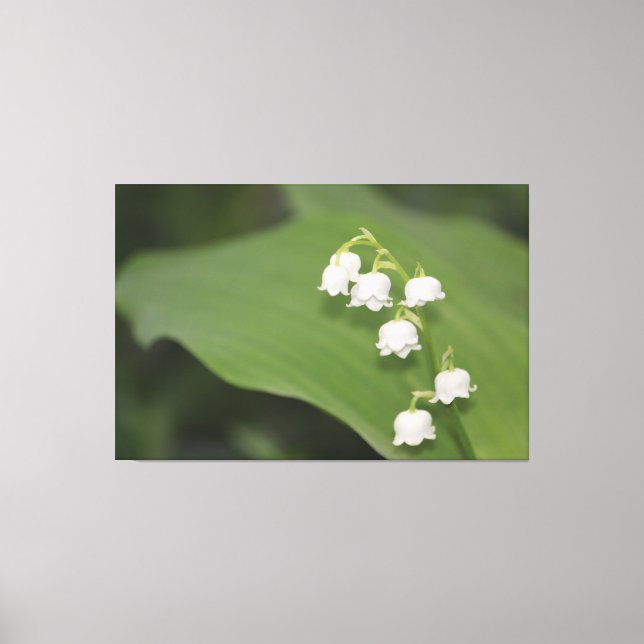 Lily Of The Valley Print (Front)