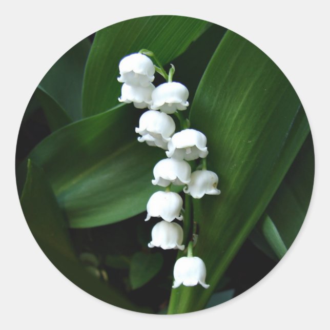 Lily of the Valley sticker (Front)