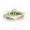 lily of the valley with bible