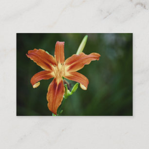 Lily P6588 Mini Print Business Card