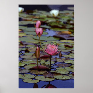 Lily Pad Art Posters -24x36 -other sizes available