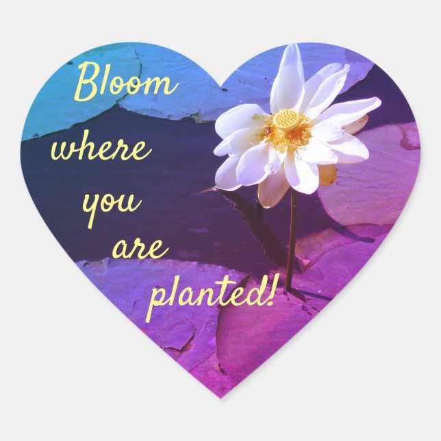 Lily Pad Flower "Bloom Where You  Are Planted! Heart Sticker (Front)