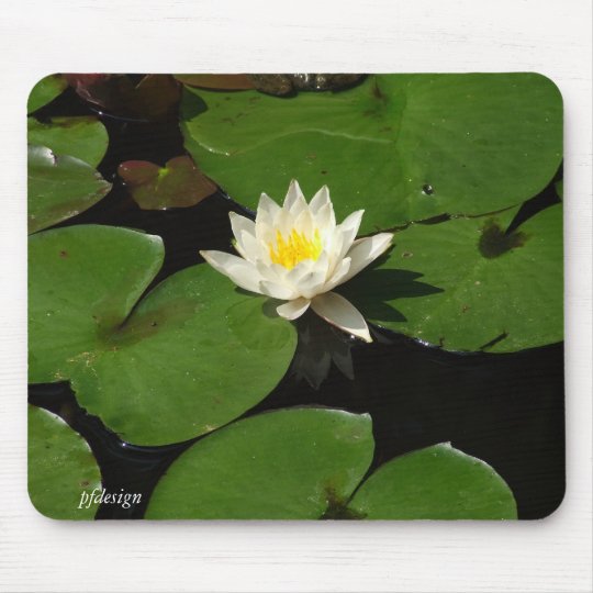 Lily Pad Mouse Pad | Zazzle.com