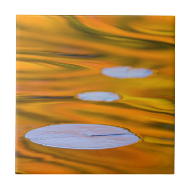 Lily pad on orange water, Canada Ceramic Tile (Front)