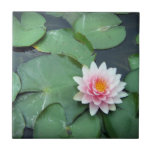 Lily Pad Pond Flower, Pink and Green Photo Tile