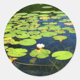 Lily pad stickers