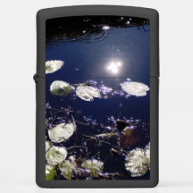 Lily Pad Sun Reflection Faerie Magic