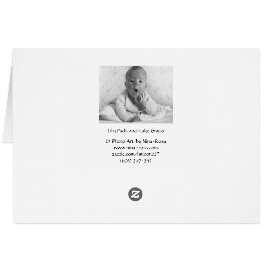 Lily Pads and Lake Grass (Back Horizontal)