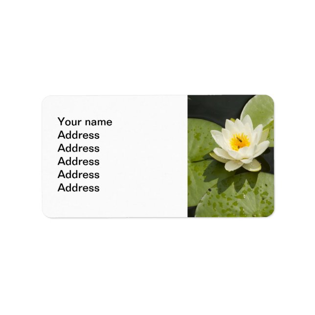 Lily Pads and White Lotus Flower Label (Front)