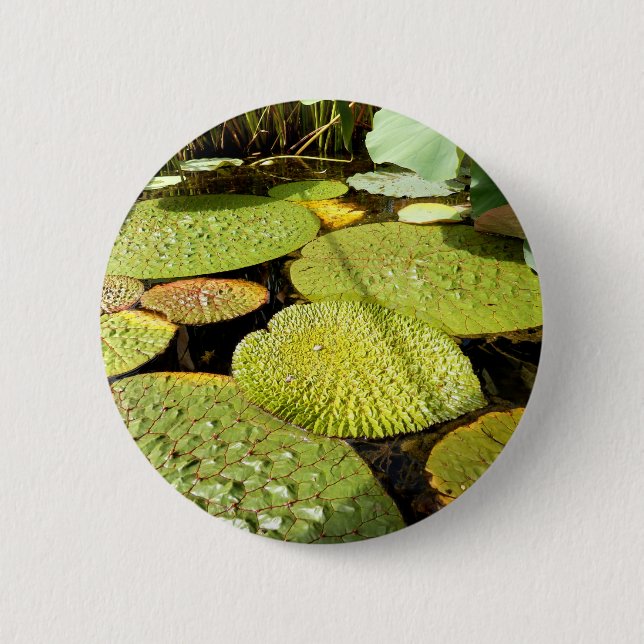 Lily Pads Badge Button (Front)