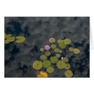 Lily Pads Cards