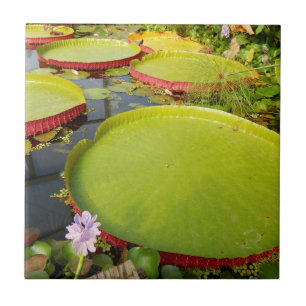 Lily Pads Ceramic Tile
