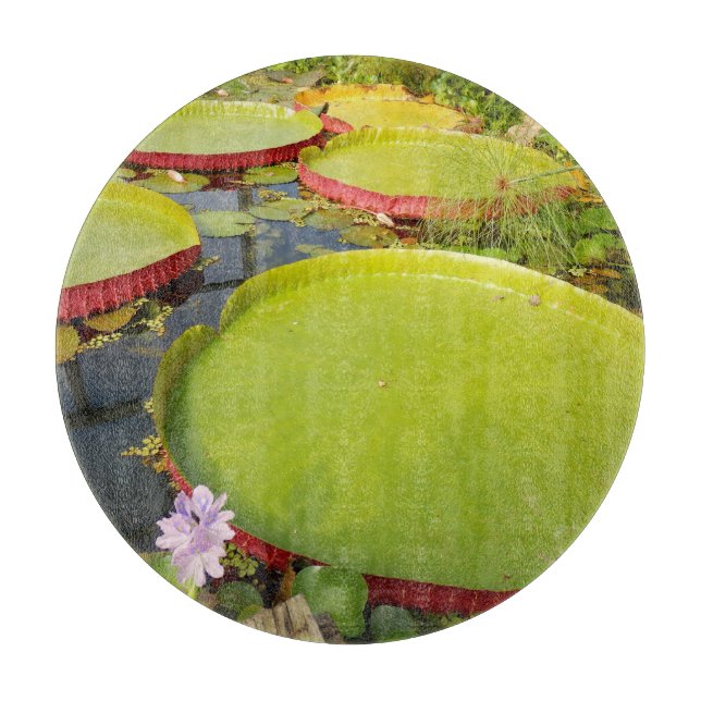 Lily Pads Glass Chopping Board (Front)