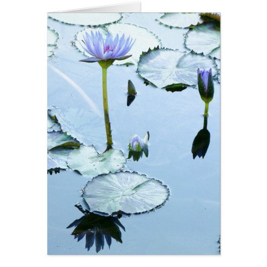 Lily Pads & Lotus Card (Front)