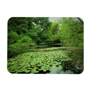 Lily Pads on the Pond Magnet
