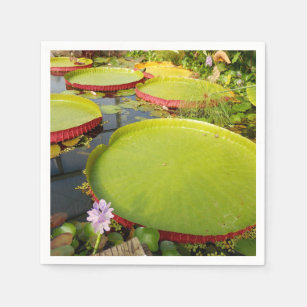 Lily Pads Paper Napkins