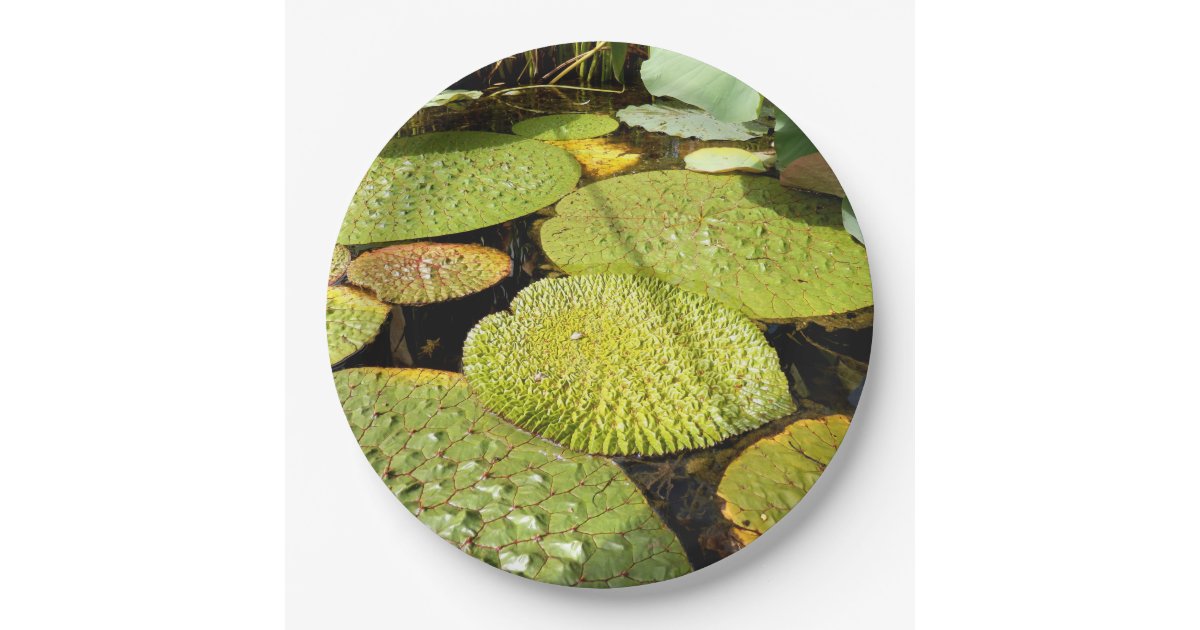 Lily Pads Paper Plate Zazzle
