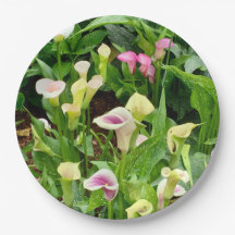 lily paper. plate