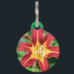 Lily Pet ID Tag<br><div class="desc">Lily
add your information</div>
