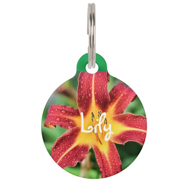 Lily Pet ID Tag (Front)