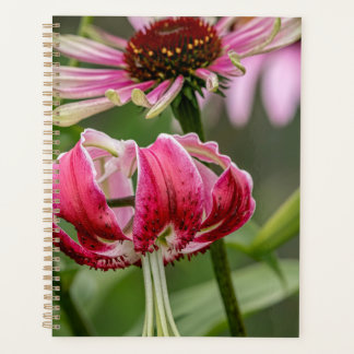 Lily  planner