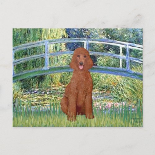 Lily Pond Bridge _ Dark Red Standard Poodle 1 Postcard