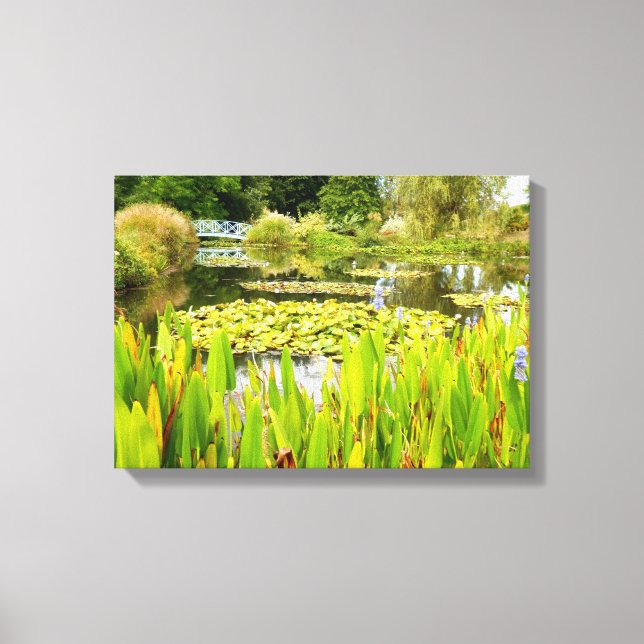 Lily Pond Canvas Print (Front)