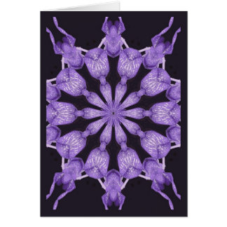 Lily Pond Cards