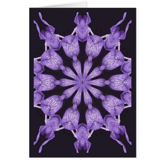 Lily Pond Cards (Front)