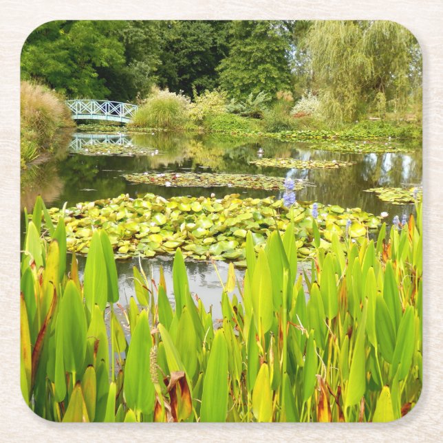 Lily Pond Paper Coaster (Front)