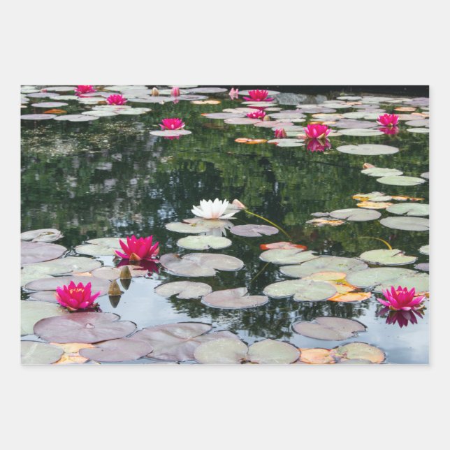 Lily pond wrapping paper sheets (Front)