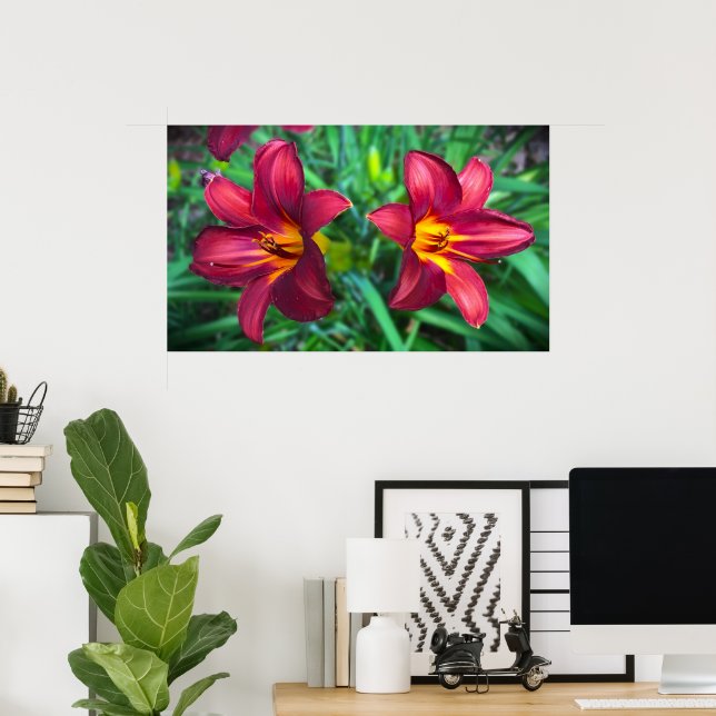 Lily, Poster (Home Office)