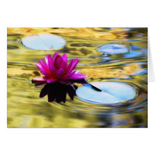 Lily Ripples - Water Lily Cards (Front Horizontal)