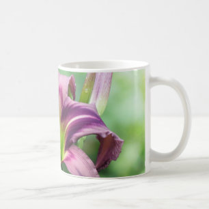 Lily Star - Daylily Coffee Mug