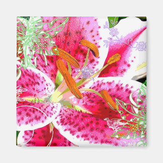 Lily Stargazer Fantasy, Magnet